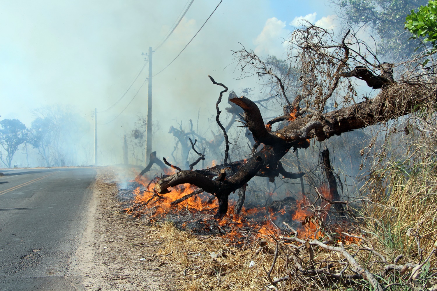 Incêndio próximo ao Clube dos Advogados em Teresina