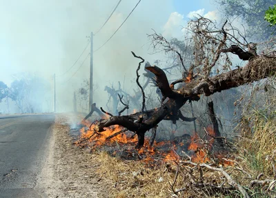 Incêndio próximo ao Clube dos Advogados em Teresina