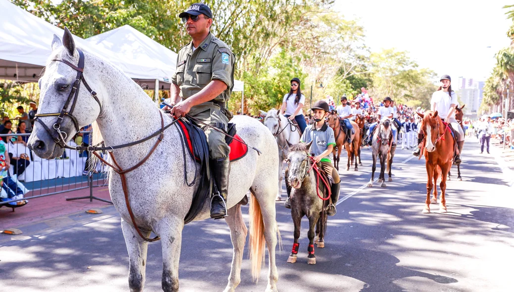 Cavalaria Mirim