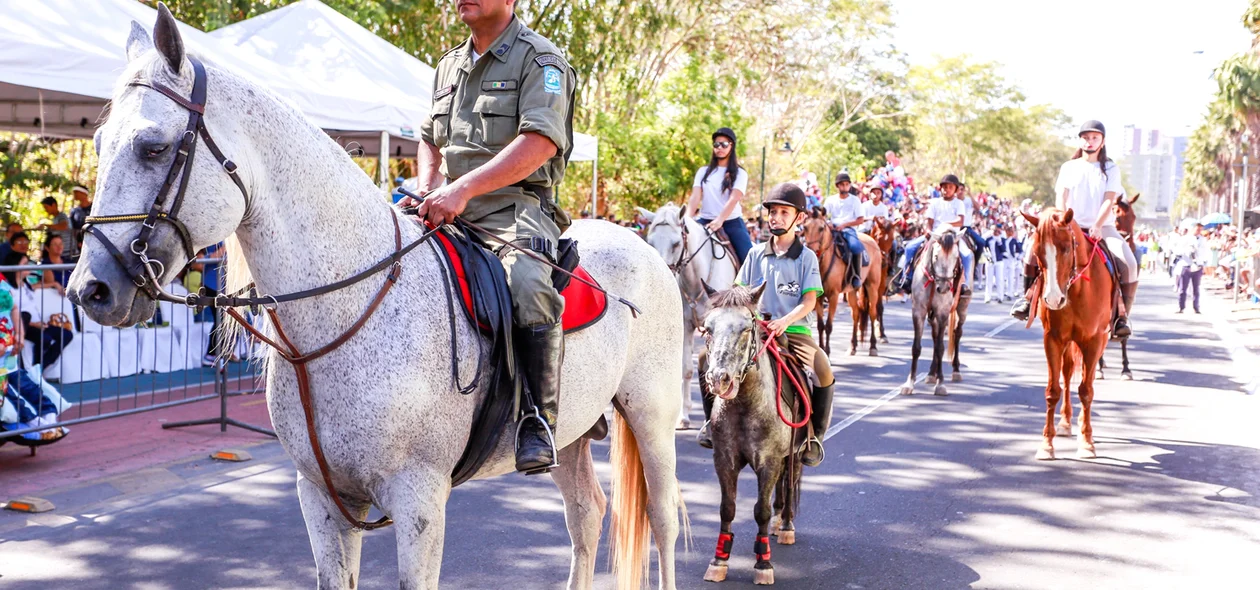 Cavalaria Mirim