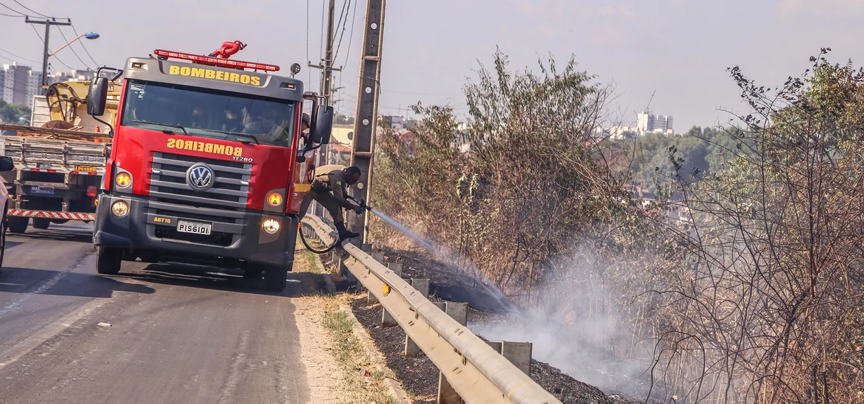 Bombeiros tentando apagar o fogo próximo a BR 343 