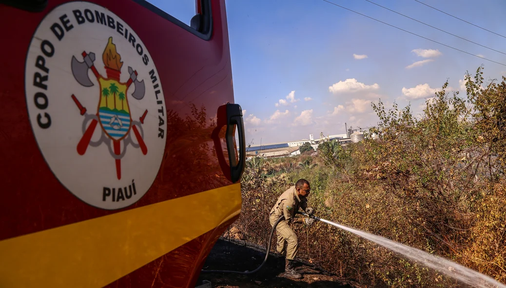 Bombeiros tentando conter o fogo em matagal na BR 343