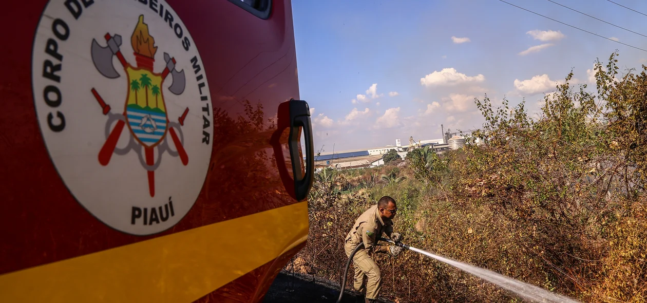 Bombeiros tentando conter o fogo em matagal na BR 343