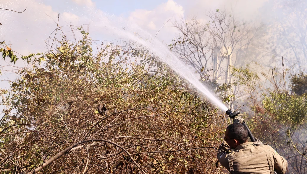 Bombeiros tentando conter o fogo em matagal 