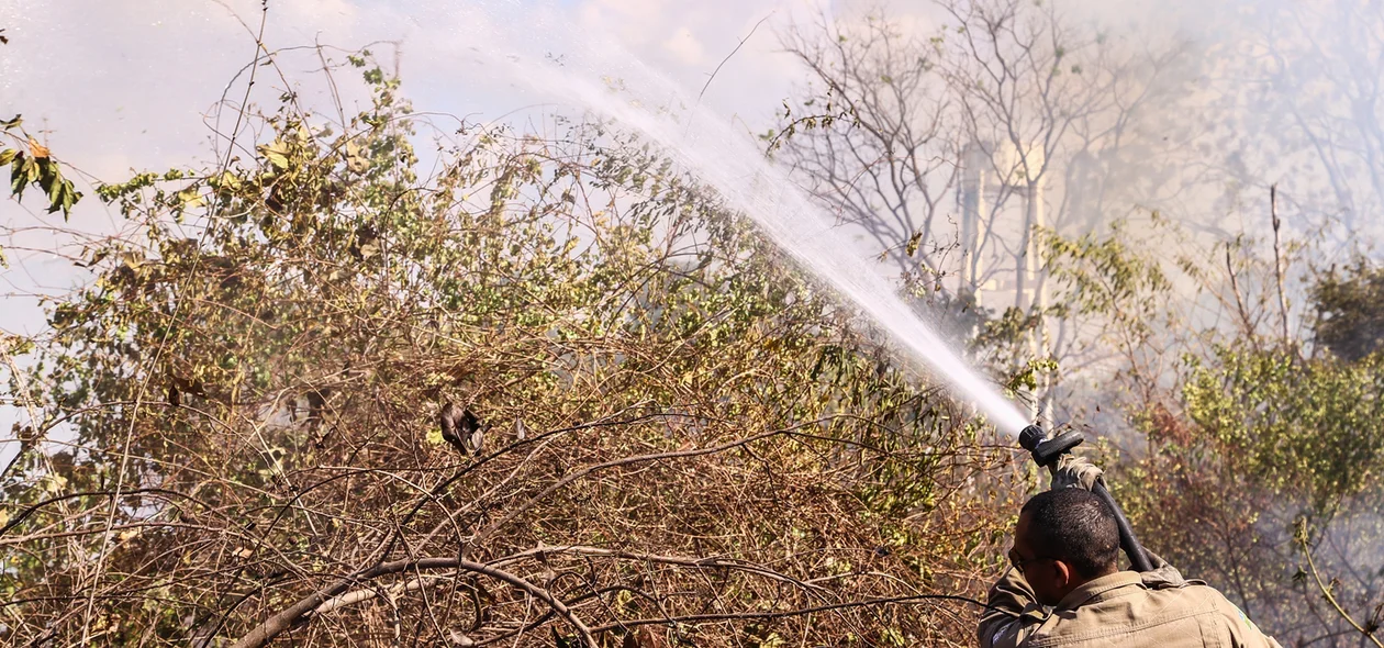 Bombeiros tentando conter o fogo em matagal 