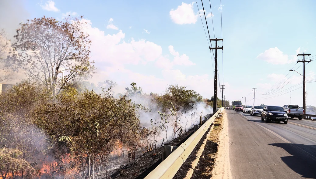 Fogo em matagal atinge BR 343 em Teresina Piauí 