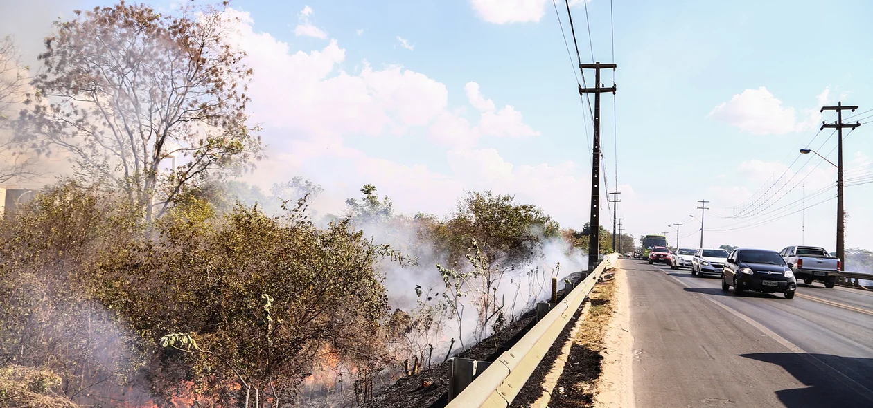 Fogo em matagal atinge BR 343 em Teresina Piauí 