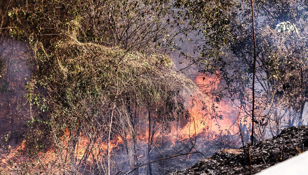 Fogo em matagal atinge BR 343 em Teresina 