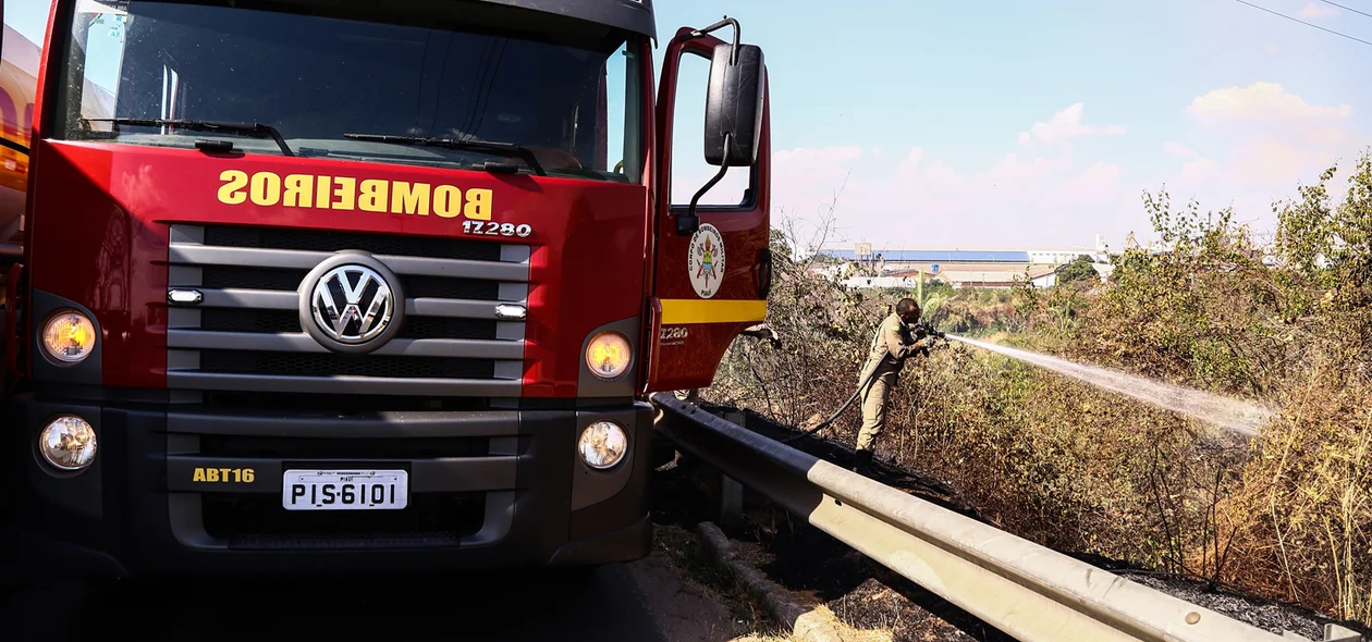 Fogo em matagal atinge BR 343