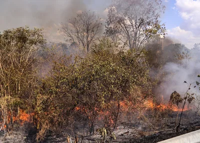 Fogo em matagal em Teresina 