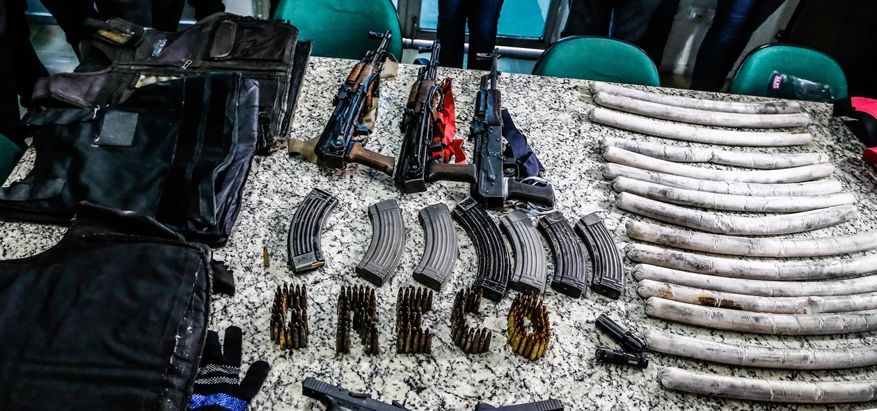 Armas e munições apreendidas