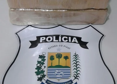 Droga apreendida