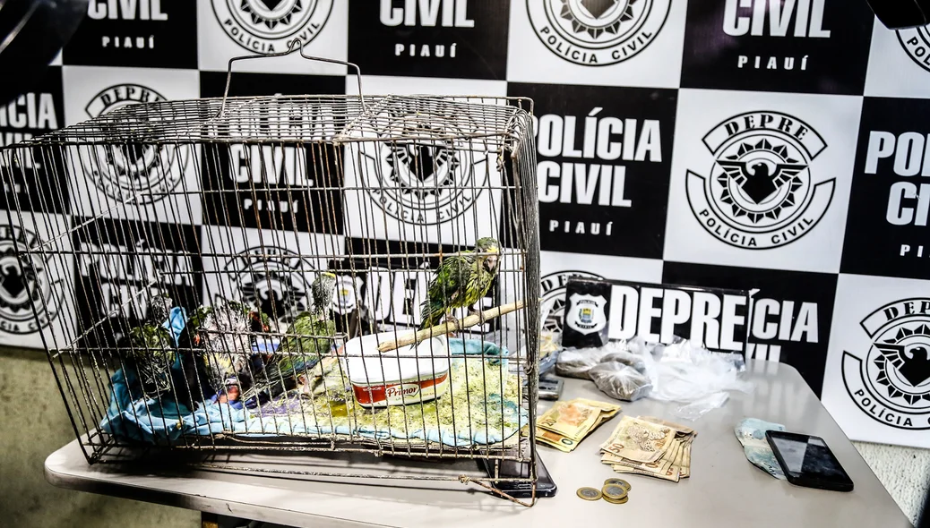 Animais também foram apreendidos 