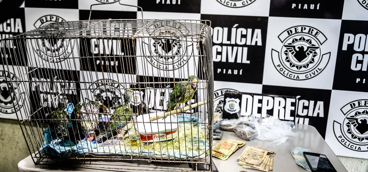 Animais também foram apreendidos 