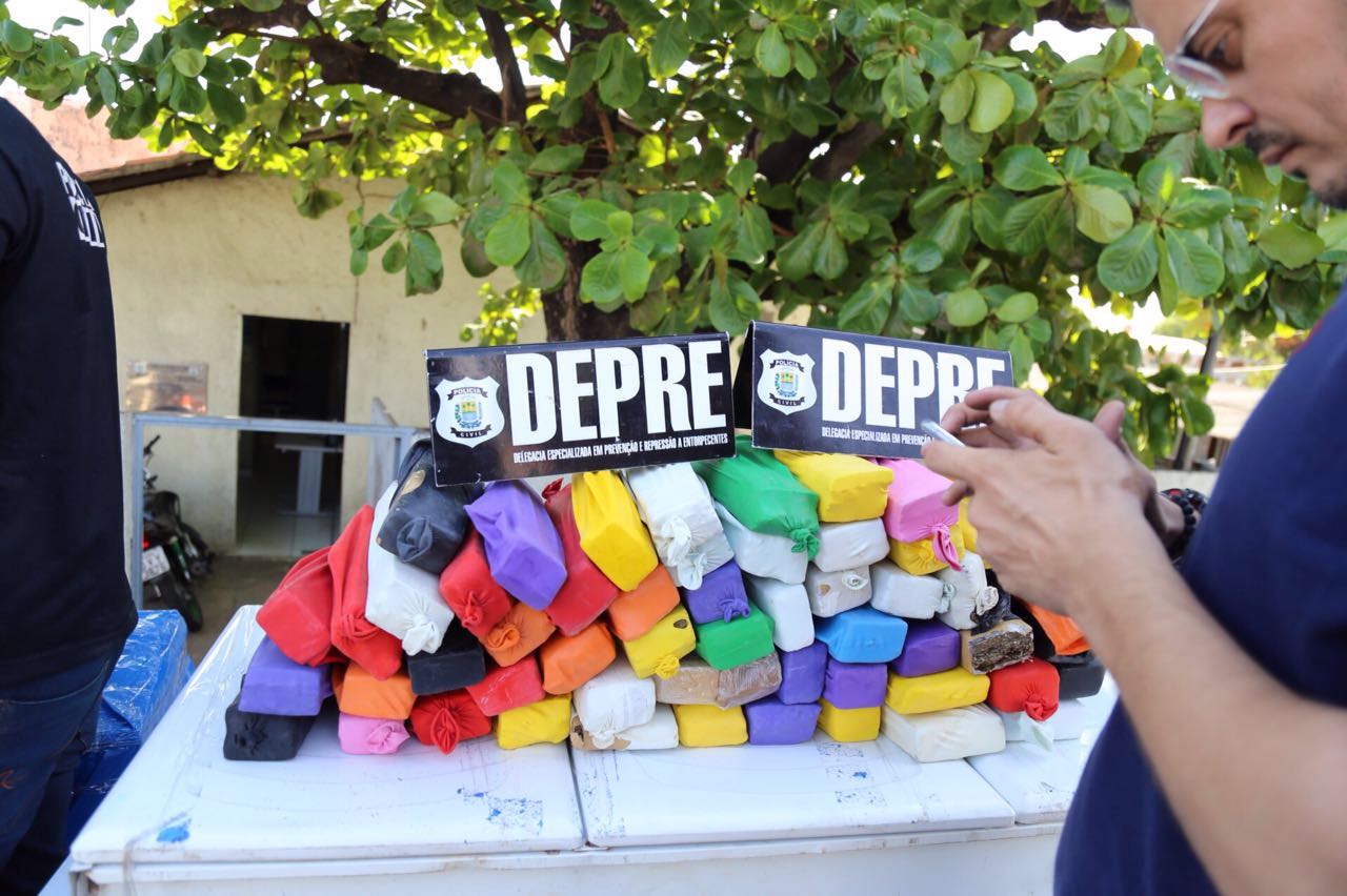 Drogas apreendidas pela polícia