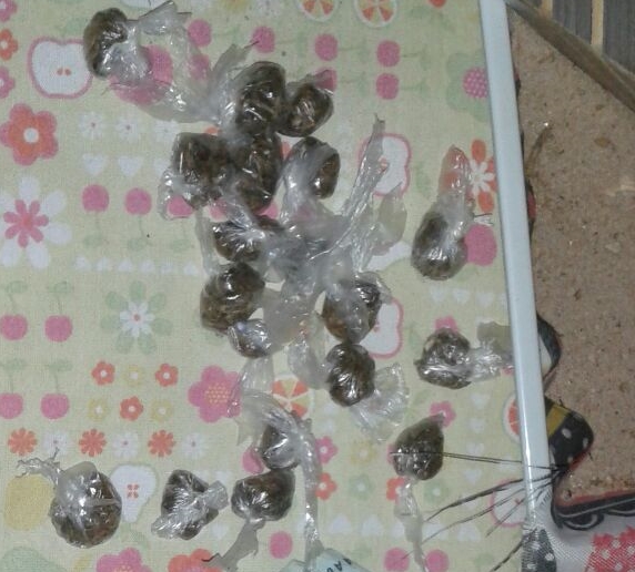 Drogas e dinheiro apreendidos na ação