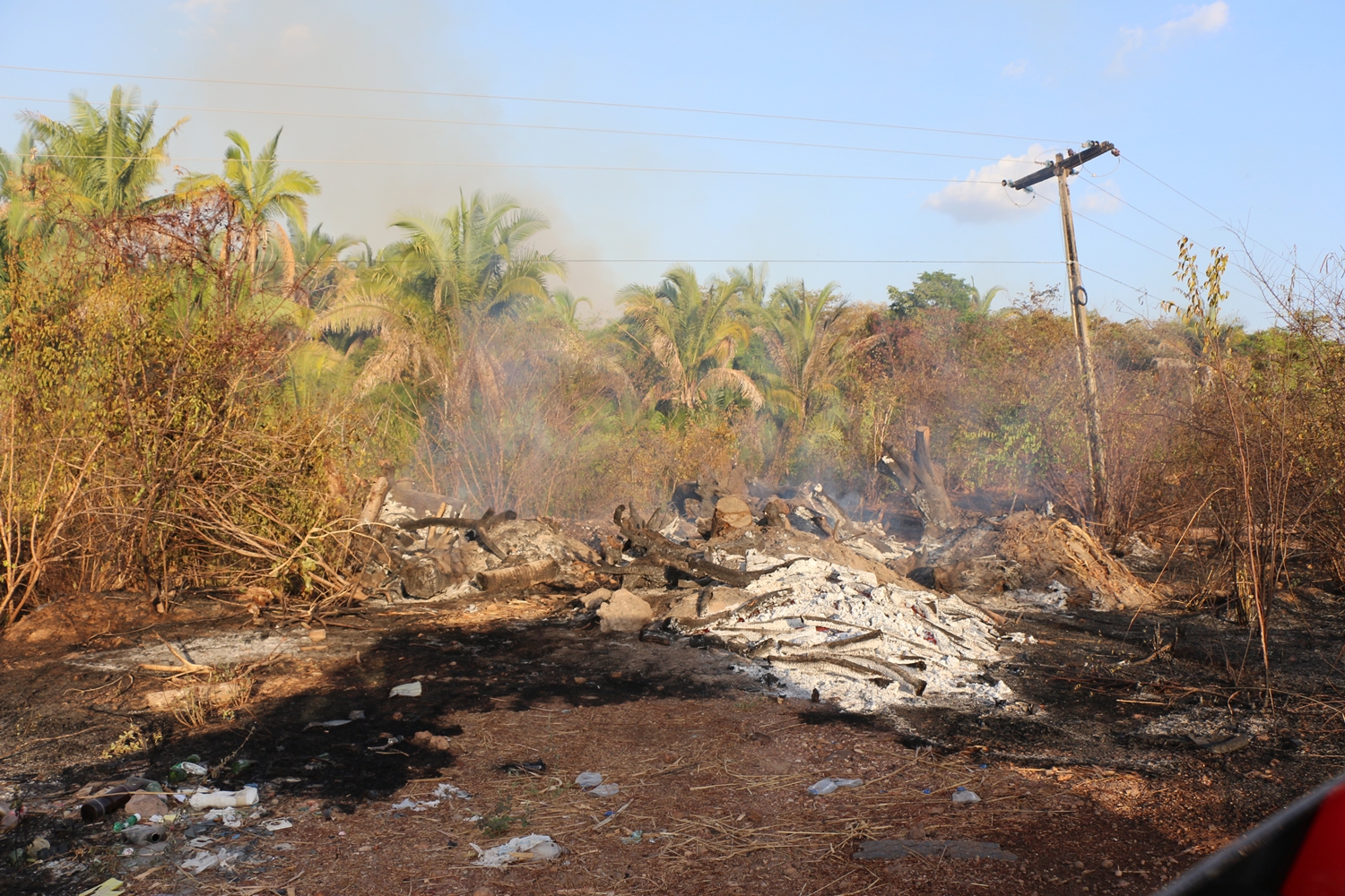 Incêndio próximo a BR- 316 