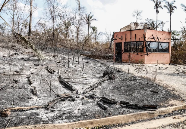 Incêndio destrói cerca de 40 hectares do Parque Zoobotânico