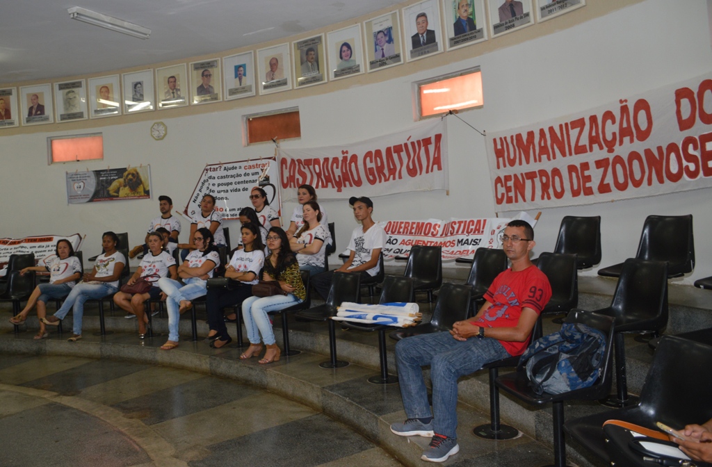 Defensores dos animais acompanham sessão