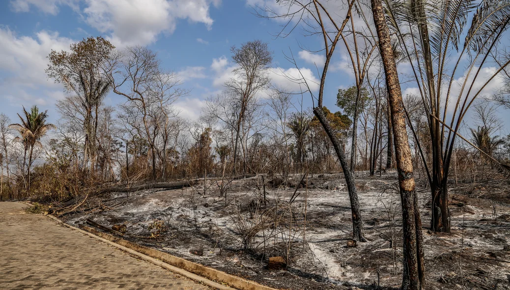 Incêndio atingiu o Parque Zoobotânico
