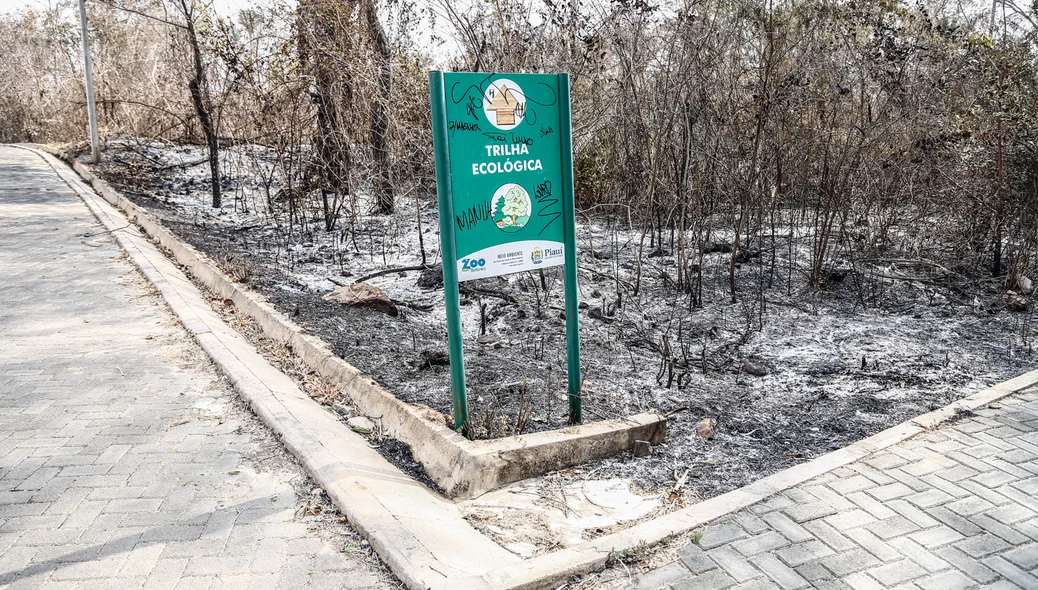 incêndio de grande proporção atingiu o Parque Zoobotânico, localizado na zona Leste de Teresina