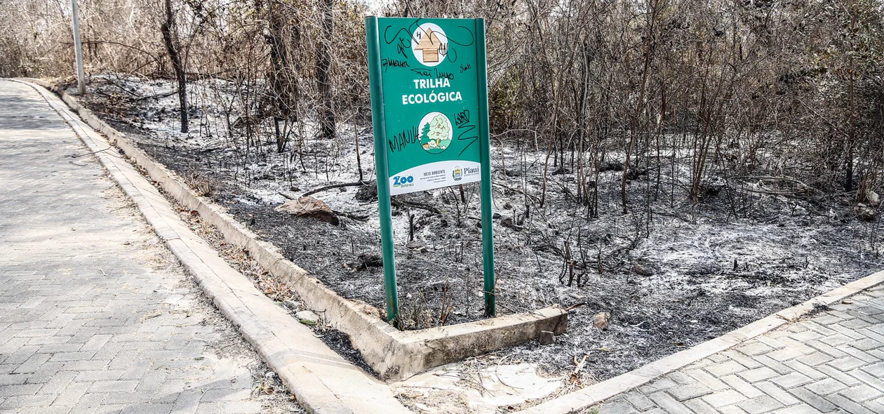 incêndio de grande proporção atingiu o Parque Zoobotânico, localizado na zona Leste de Teresina