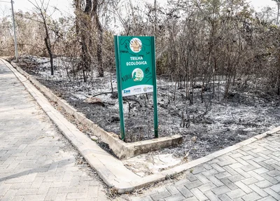 incêndio de grande proporção atingiu o Parque Zoobotânico, localizado na zona Leste de Teresina