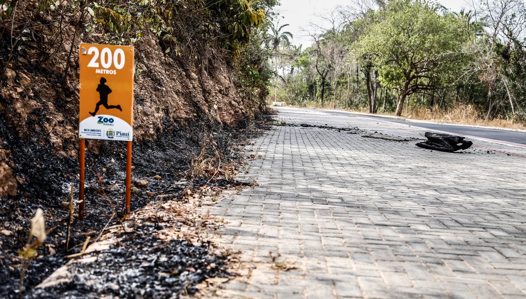 Incêndio no Parque Zoobotânico em Teresina 