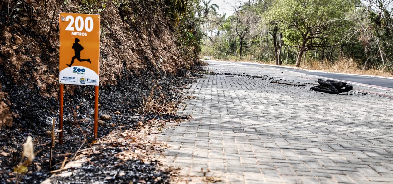 Incêndio no Parque Zoobotânico em Teresina 