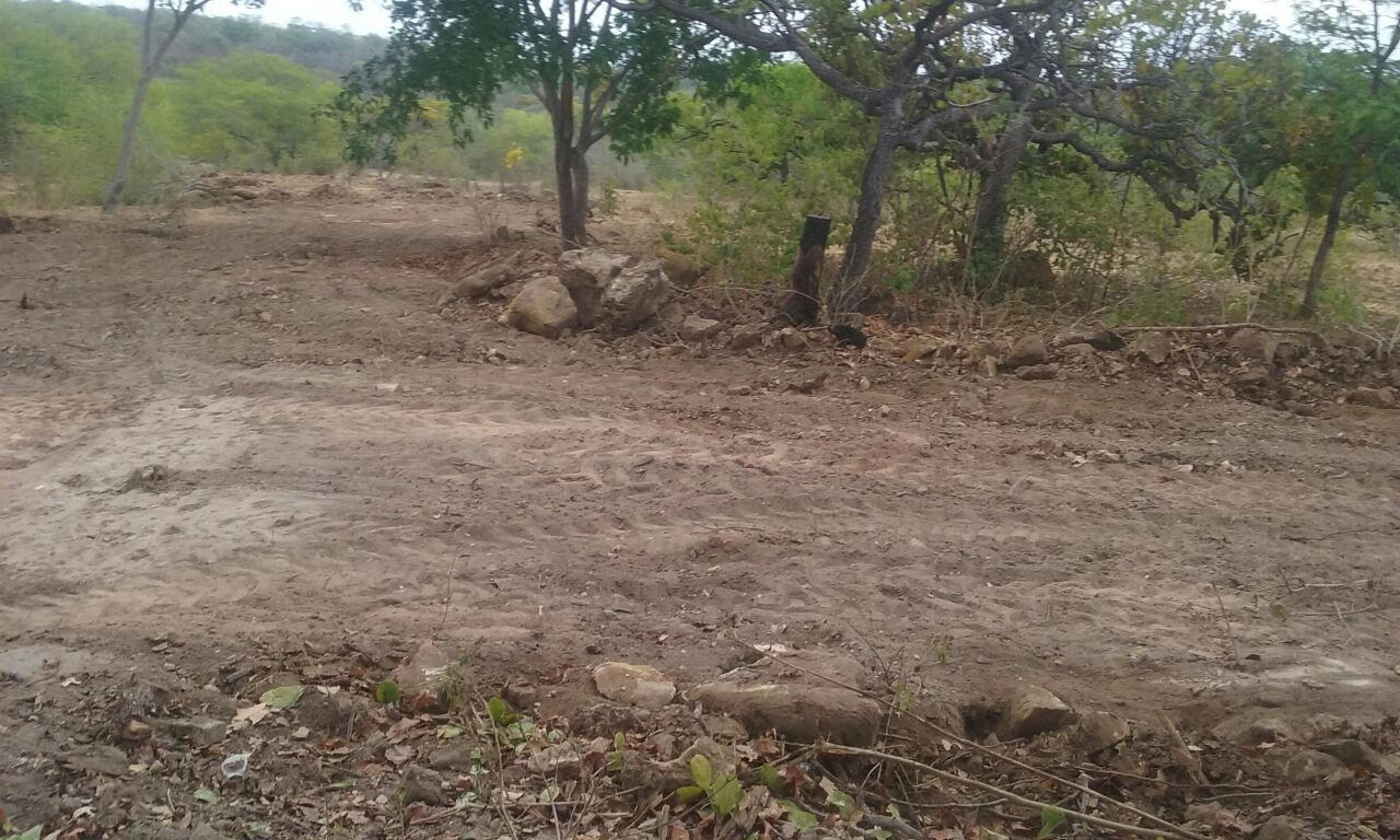 Máquinas estão sendo utilizadas na fazendo do prefeito Antônio Benvindo 