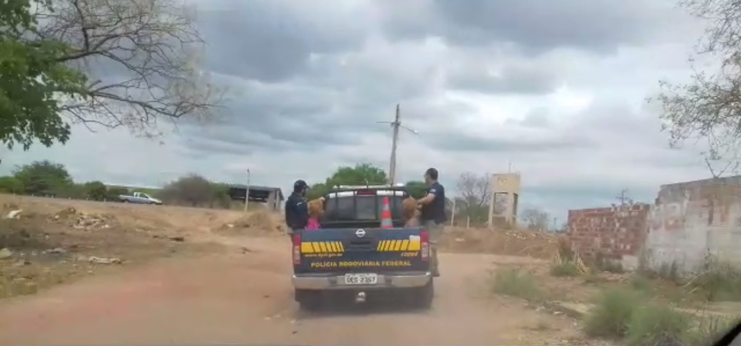 Polícia captura assaltante na BR 316