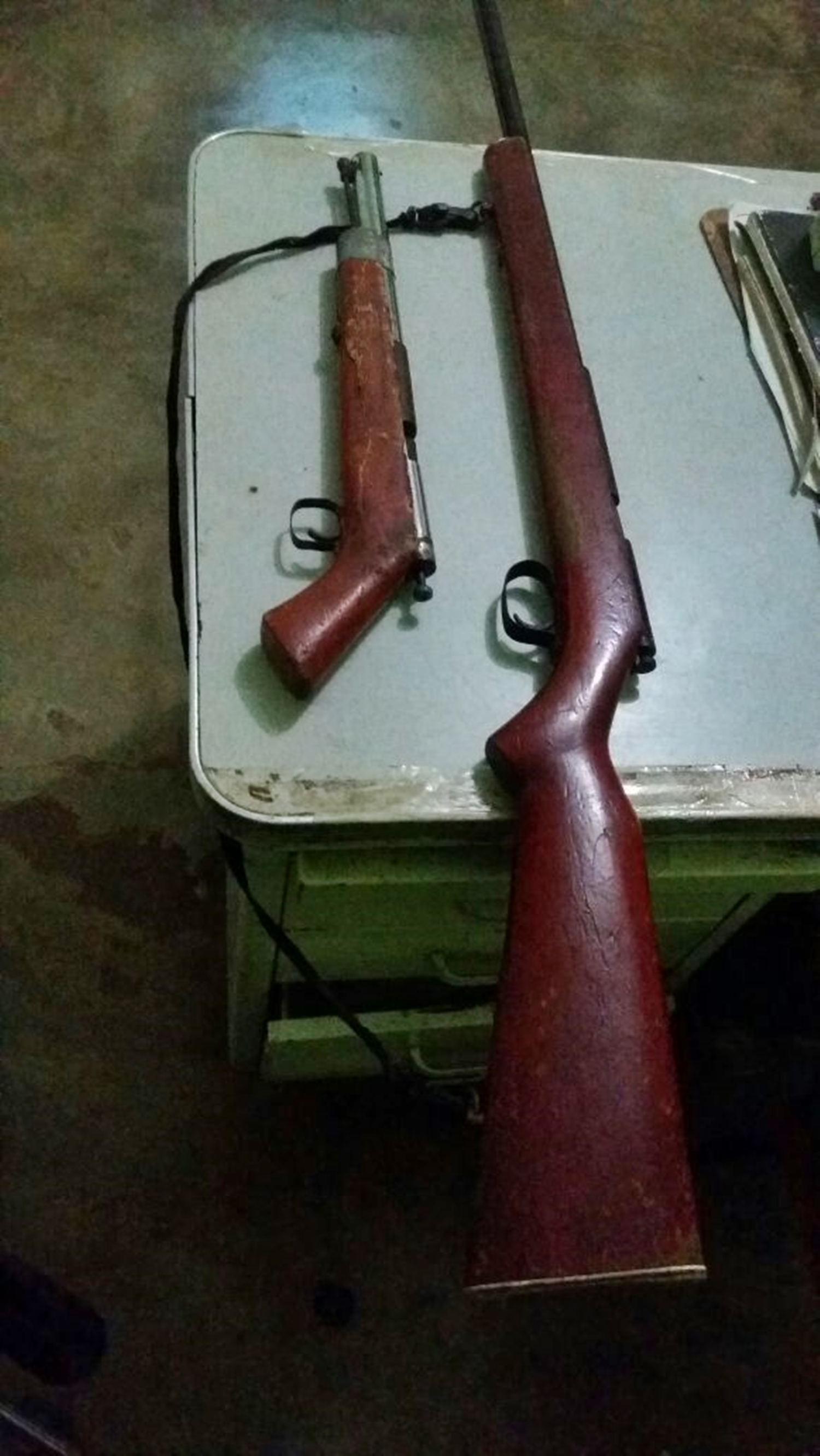 Armas de fogo apreendidas com agricultor em Paulistana
