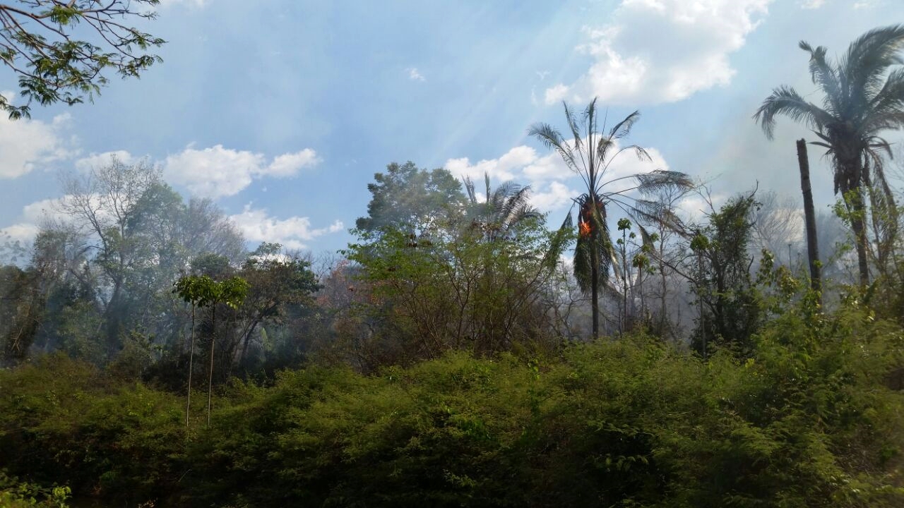 Incêndio no Zoobotanico