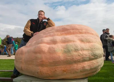 Abóbora gigante