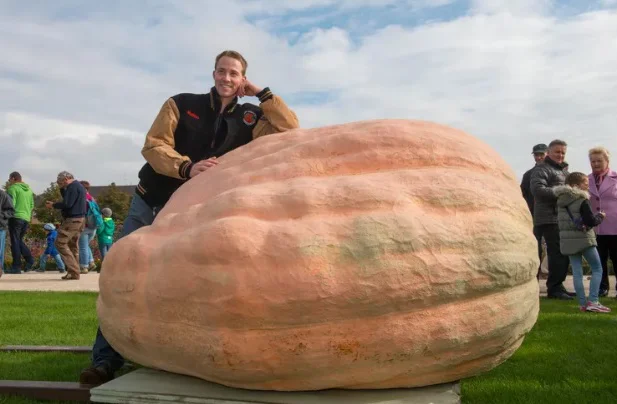 Abóbora gigante