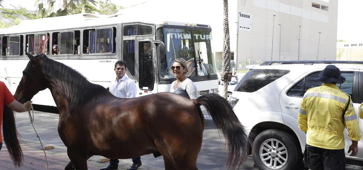 Deputada Janaina Marques apoia os manifestantes