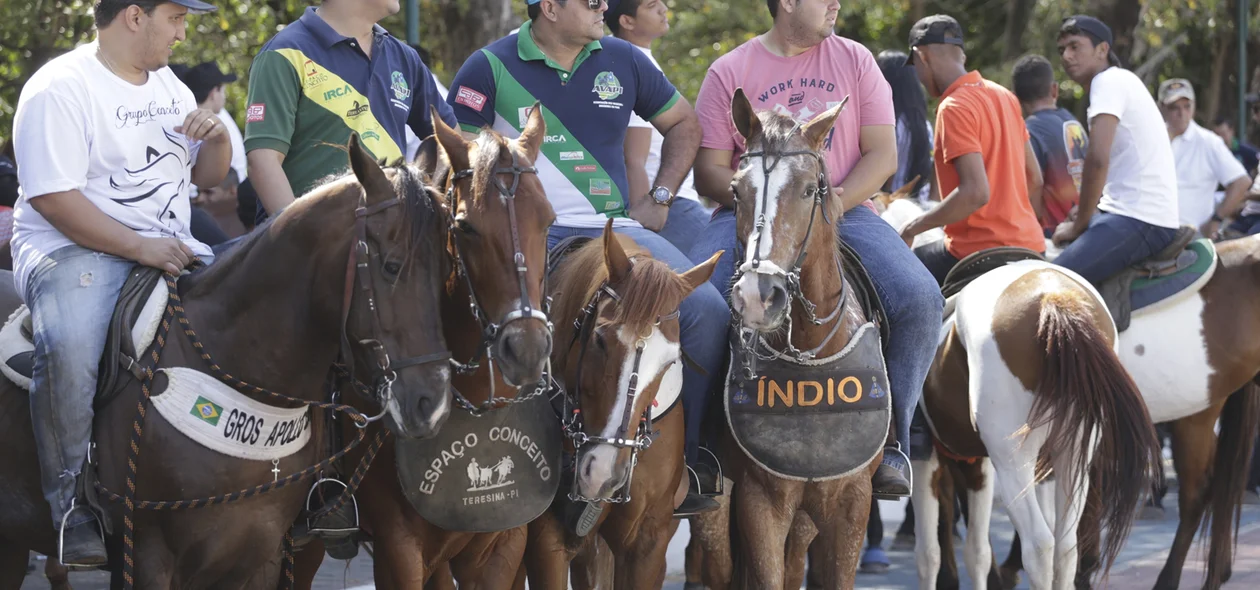 Manifestação no Piauí em favor da vaquejada