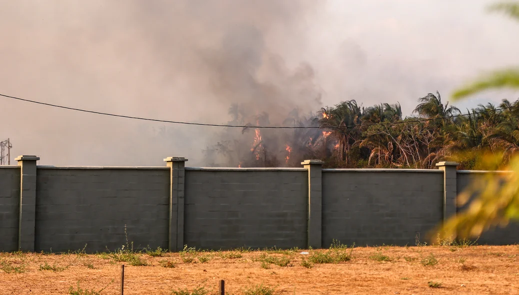 Incêndio atinge vegetação Terras Alphaville