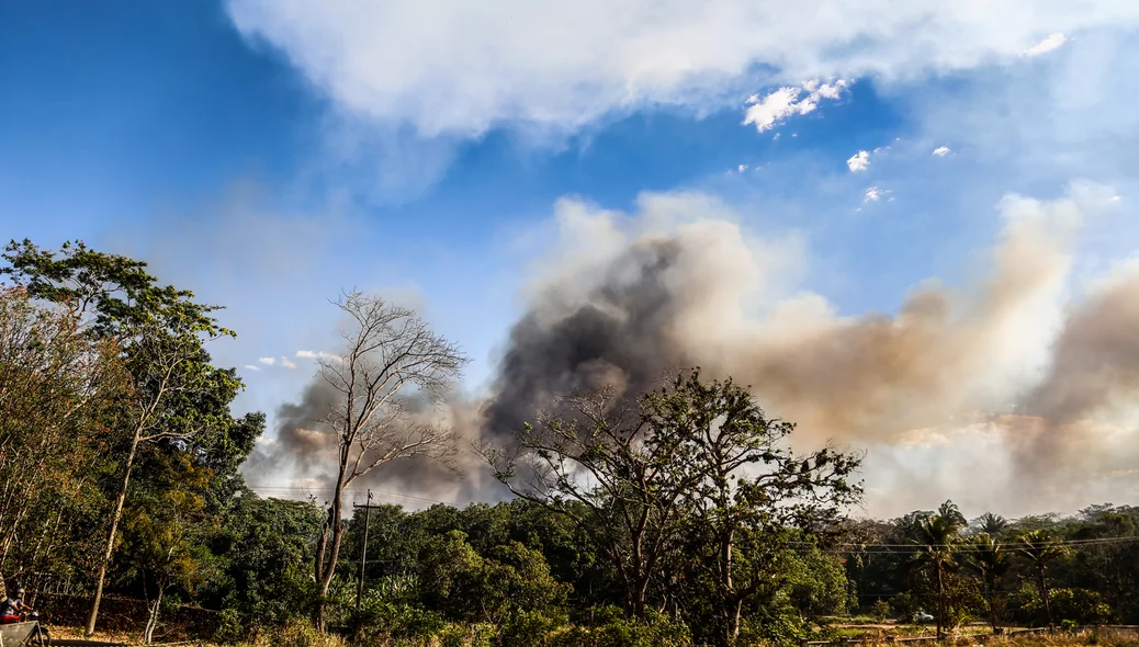 Incêndio próximo a BR- 316 em Teresina 