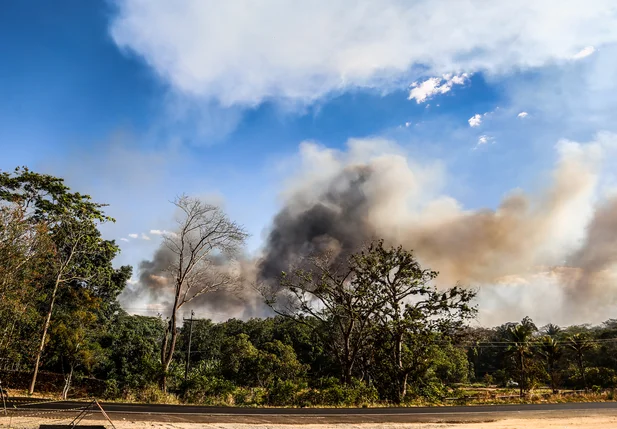 Incêndio próximo a BR- 316 em Teresina 
