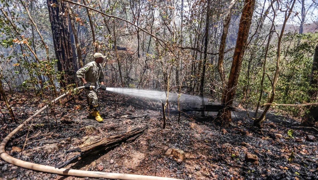 Bombeiro conseguiu apagar parte do fogo
