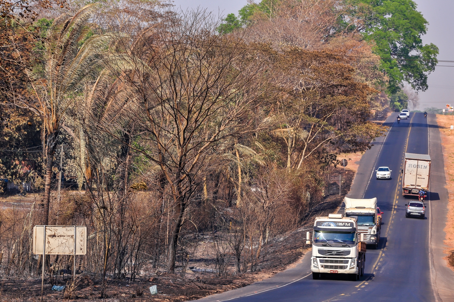 Queimadas no acostamento da BR 343