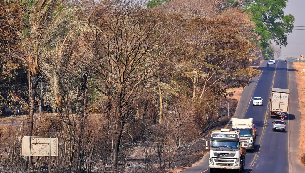 Queimadas no acostamento da BR 343