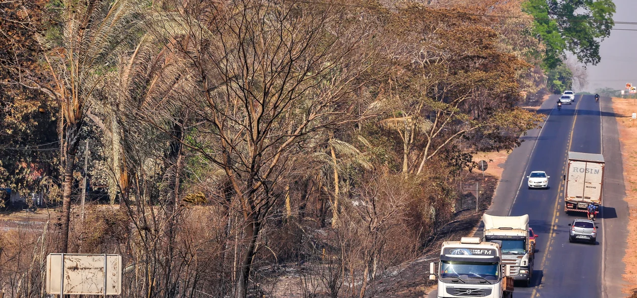 Queimadas no acostamento da BR 343