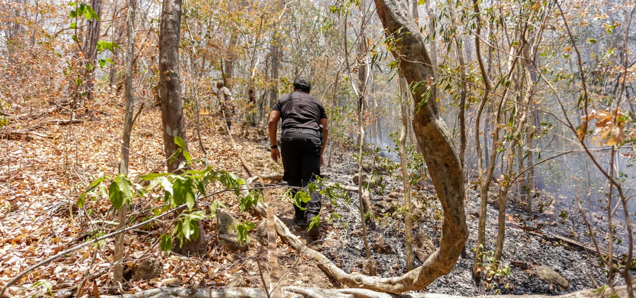Secretário de segurança ajudando a conter as chamas