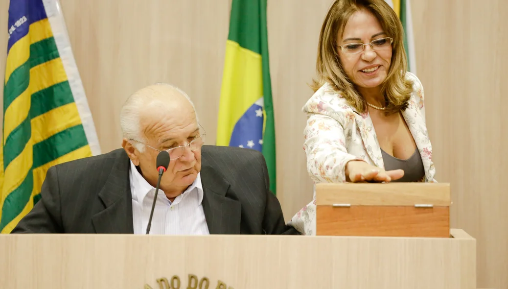 Lilian Martins votando