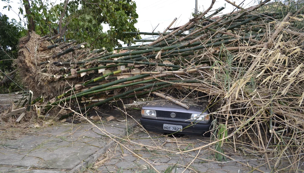 Parte do veículo foi destruído
