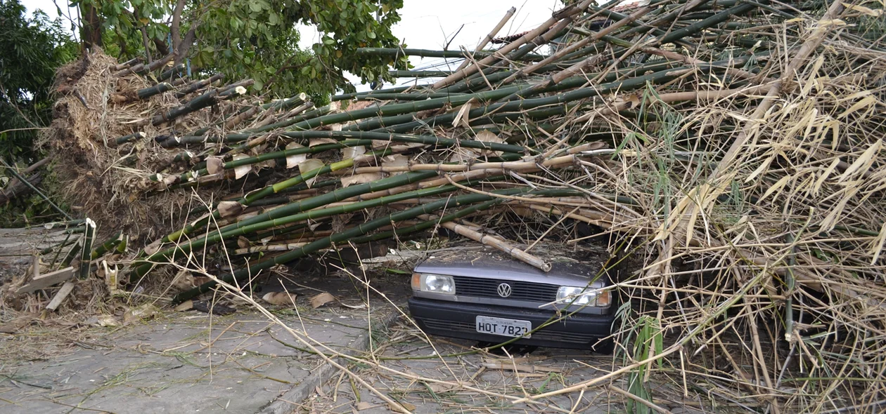 Parte do veículo foi destruído