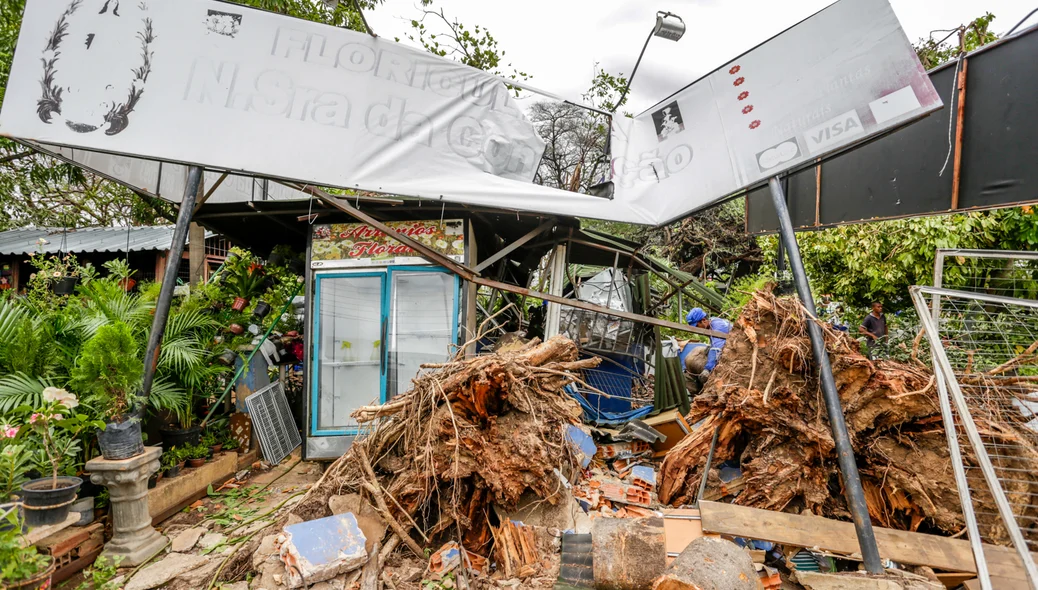 A floricultura Nossa Senhora da Conceição foi  destruída
