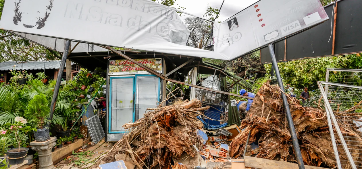 A floricultura Nossa Senhora da Conceição foi  destruída